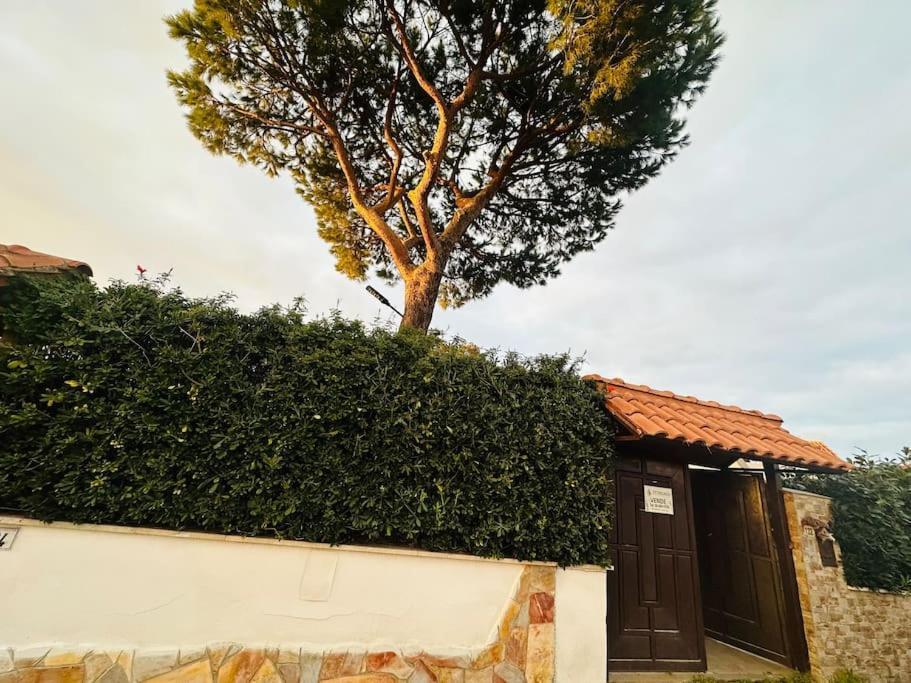 Fontana House Villa Marina di Cerveteri Luaran gambar